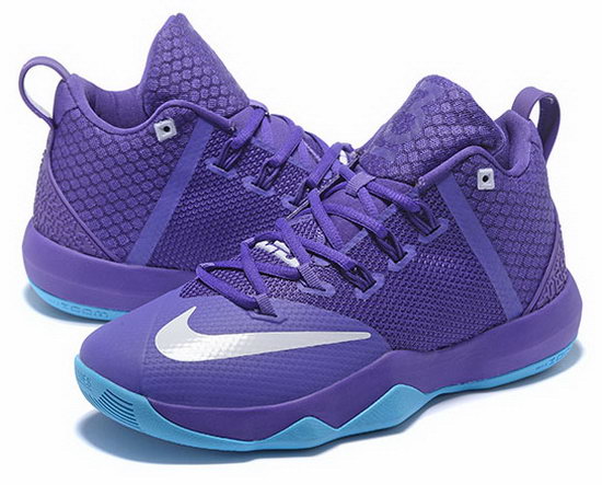 Nike Lebron Ambassador 9 Purple Jade Factory Store